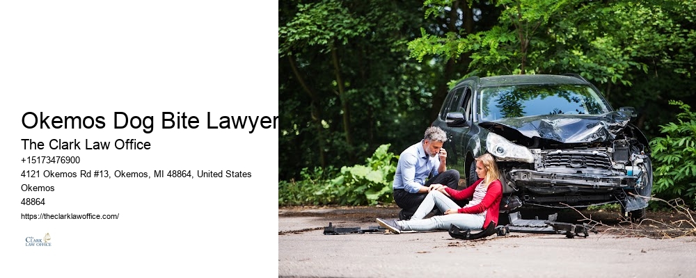 Top-Rated Wrongful Death Attorney Okemos Dog Bite Lawyer