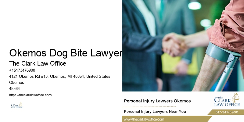 Personal Injury Attorney for Spinal Injuries Okemos Dog Bite Lawyer