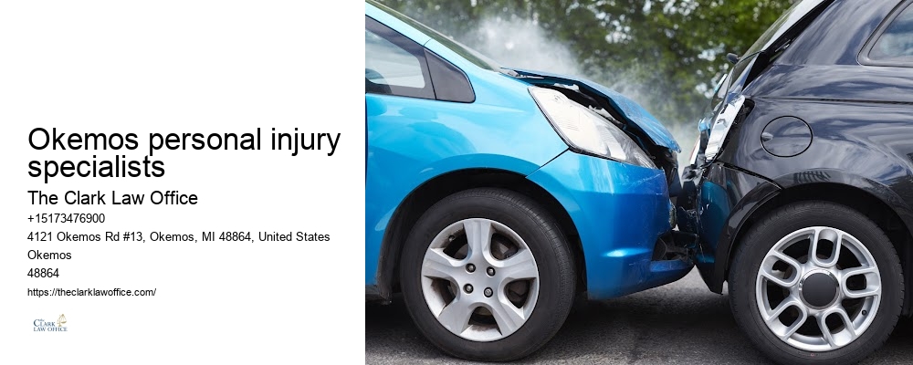 Top Okemos personal injury specialists Personal Injury Lawyer Reviews