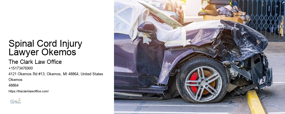 Truck Accident Injury Lawyer Spinal Cord Injury Lawyer Okemos