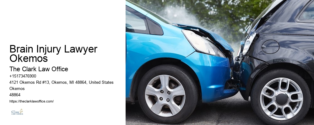 Personal Injury Lawyer for Disability Claims Brain Injury Lawyer Okemos