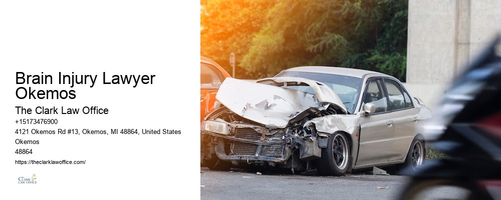 Personal Injury Lawyer Specializing in Dog Bites Brain Injury Lawyer Okemos