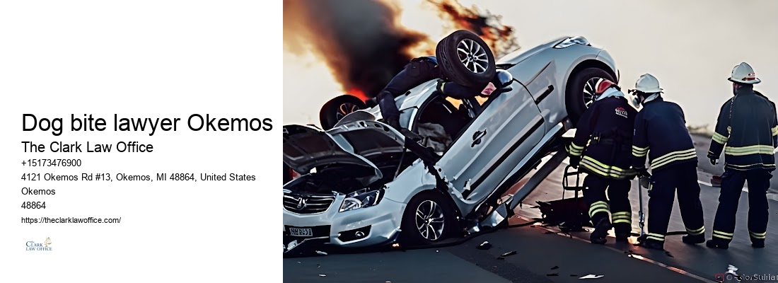 Reliable injury lawyers in Dog bite lawyer Okemos