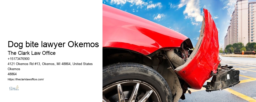 Top Injury Attorney Dog bite lawyer Okemos