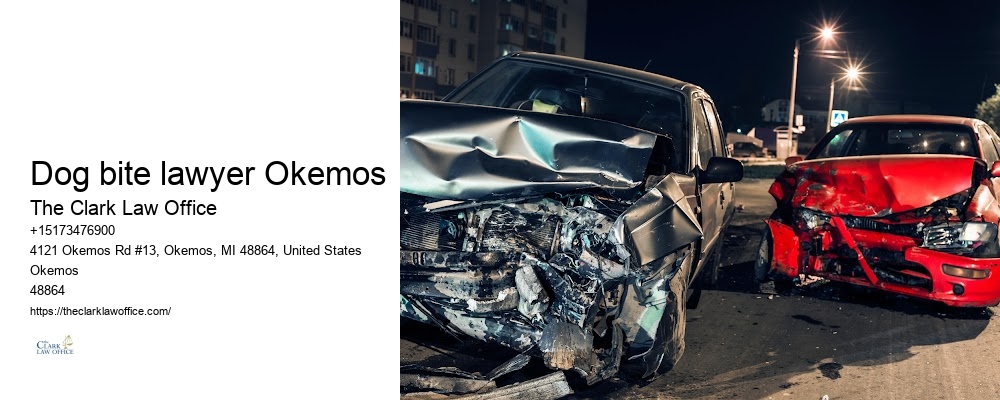 Negligence lawsuit lawyer Dog bite lawyer Okemos