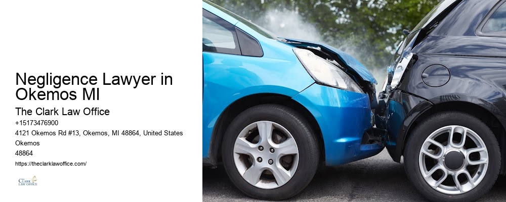 Experienced Personal Injury Lawyers Negligence Lawyer in Okemos MI