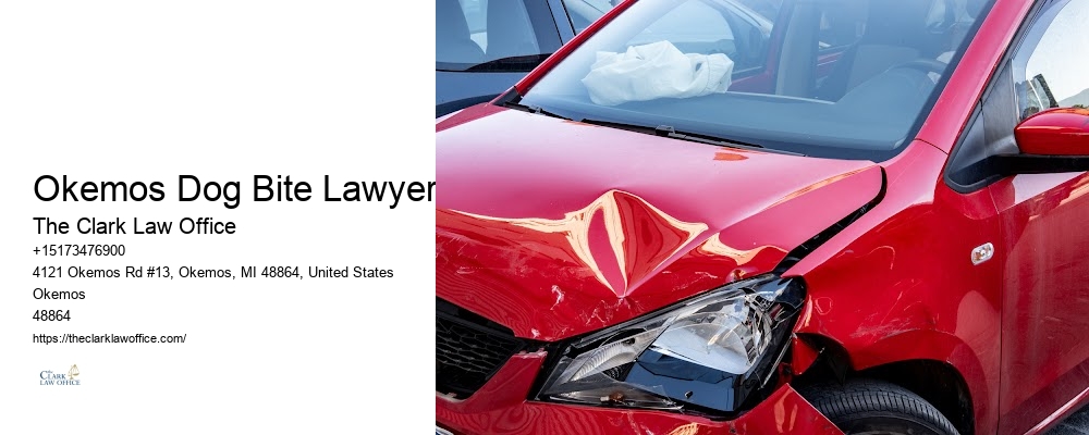 Caring personal injury lawyers in Okemos Dog Bite Lawyer