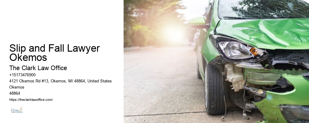 Best Injury Claims Lawyer in Slip and Fall Lawyer Okemos