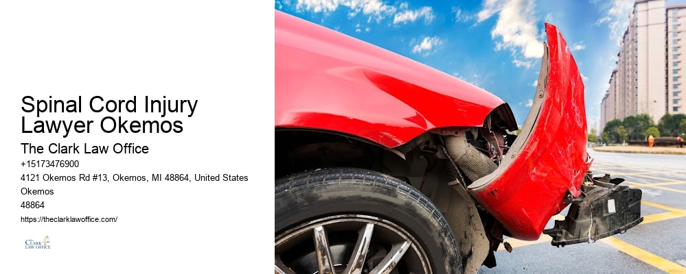 Local negligence attorney Spinal Cord Injury Lawyer Okemos