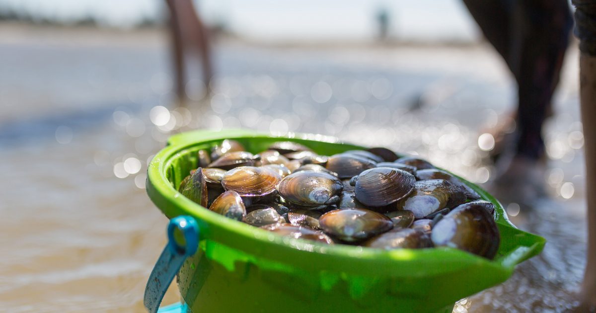 Clamming in Lincoln City, Oregon | Exploriences | Explore Lincoln City