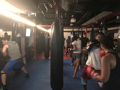 Boxing Classes Millwood NY