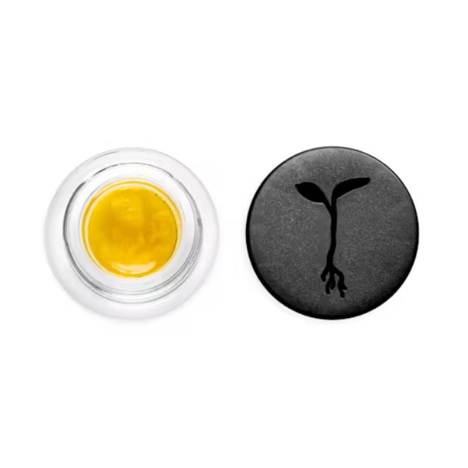 Chem Breath Live Sauce