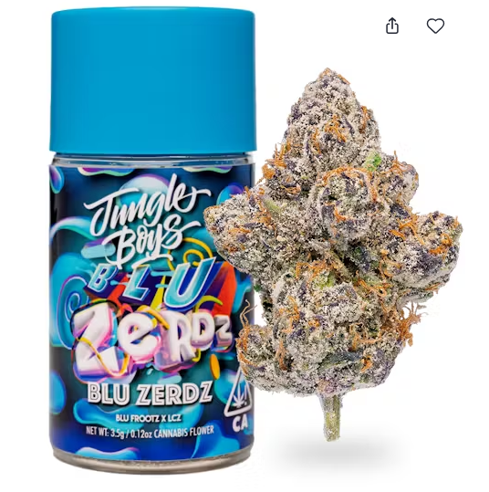 邦楽 CLUB WILD.B OZROSAURUS WILD BLUE 邦楽 CLUB WILD.B OZROSAURUS WILD BLUE 邦楽 CLUB WILD.B OZROSAURUS