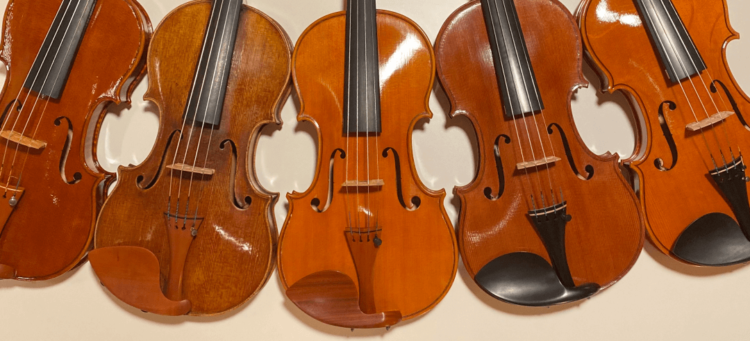 buy violin online - Handmade fine violins from Mio Cannone Violini