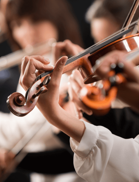 Hilary Hahn - Musicians performing in a orchestra
