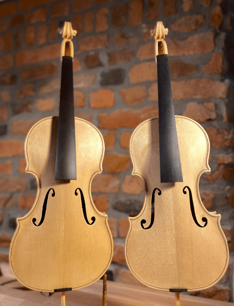 Violin Making two violins in the process of making inside a workshop
