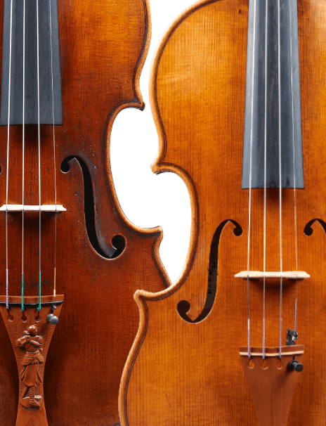 Two Stradivarius Violin Model