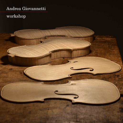 fine italian violins mio cannone