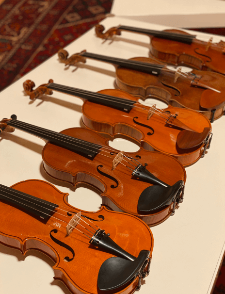 collection of italian fine violins