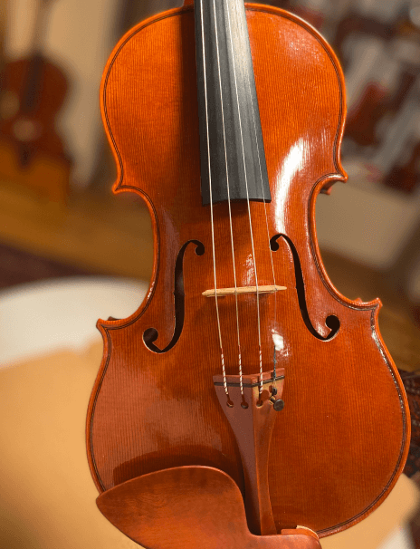 acoustic violin mio cannone violini by andrea cabrini