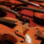 professional violins