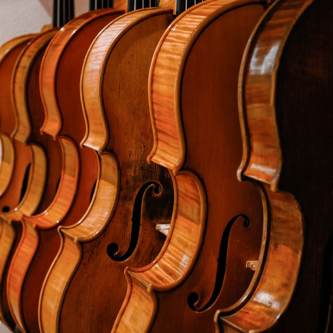 best violins for professionals old violins