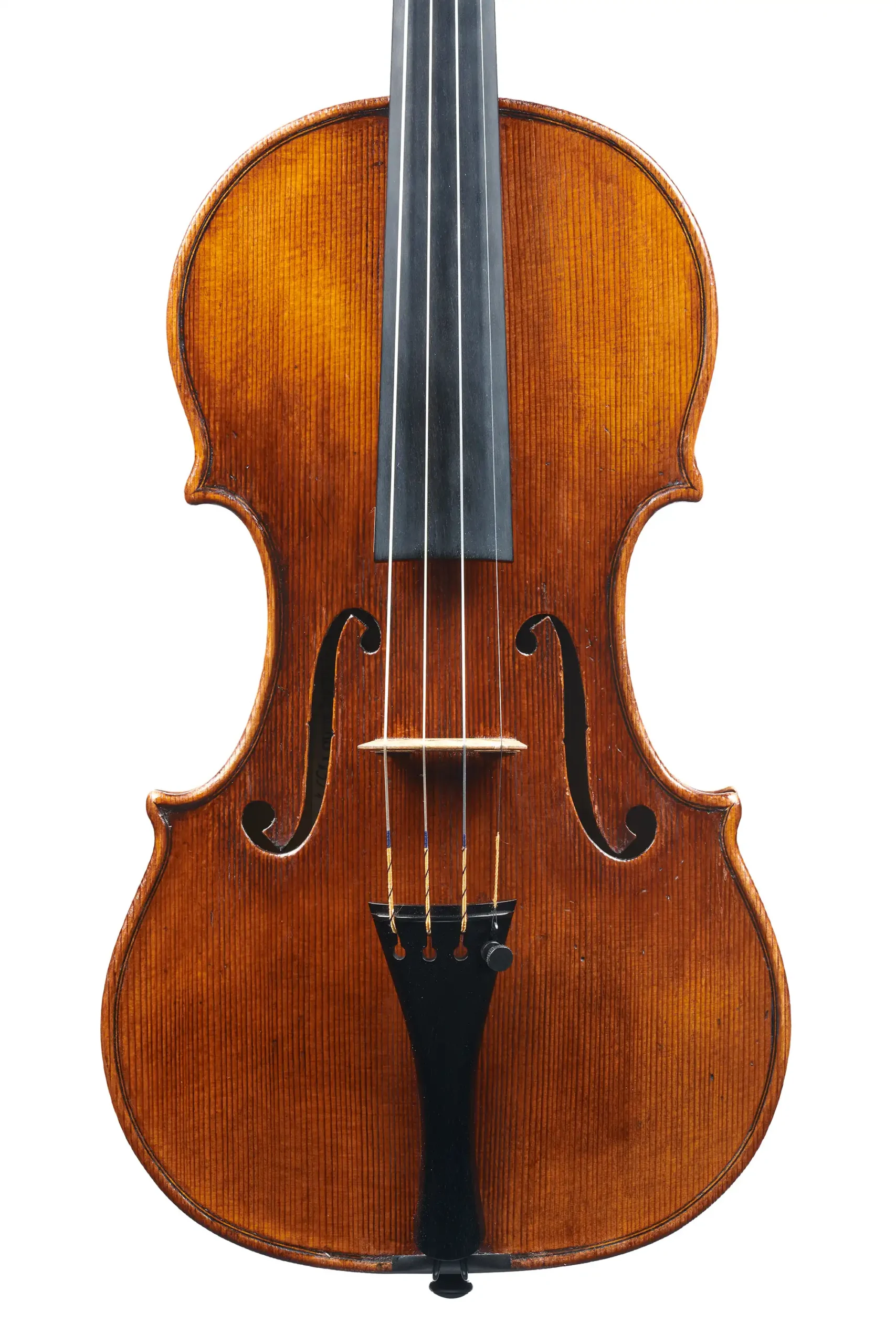 Violin by Giovanetti&Schultz, Florence 2025 | Amorim Fine Violins