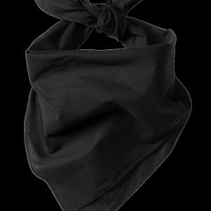 Port Authority Large Bandana C965