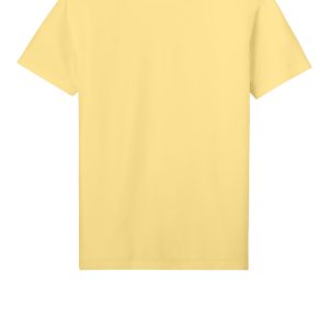 Next Level Apparel Soft Wash Cotton Tee NL3600SW