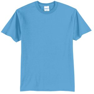 Port & Co Core Blend Tee. PC55