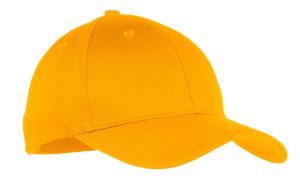 Port Authority Youth Six-Panel Twill Cap. YCP80