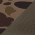 Bark Duck Camo/ Brown