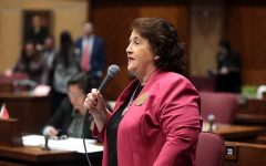 State Senator Mitzi Epstein speaking on the floor of the Arizona State Senate at the Arizona State Capitol building in Phoenix, Arizona.