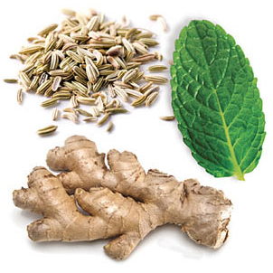 ZenGest Botanical