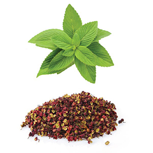 Rescuer Botanical