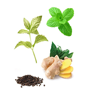 Tamer Botanical
