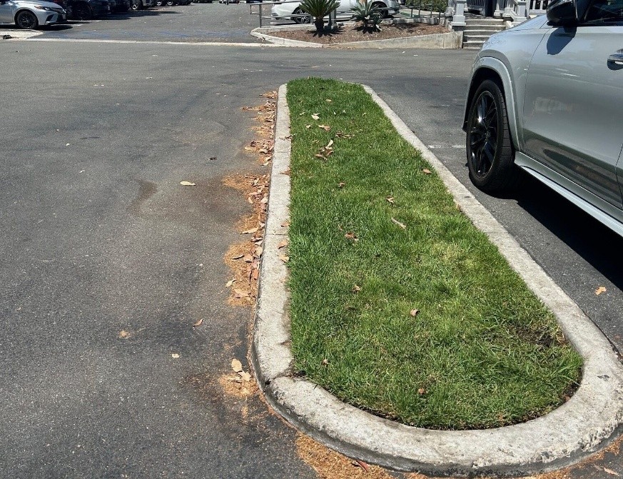 Photo showing a median area in a parking lot containing turf - Example of non-functional turf in a parking lot.