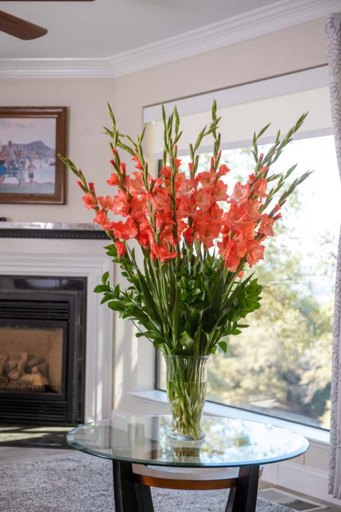 Gladiola Tips, Tricks & Arrangement Inspiration – Glad-A-Way Gardens