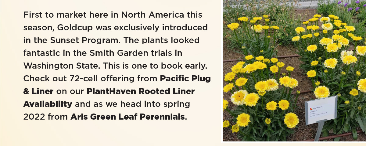 PlantHaven Rooted Liner Availability