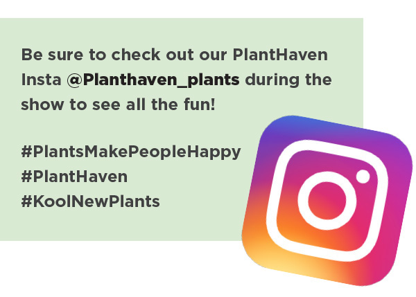 PlantHaven on Instagram