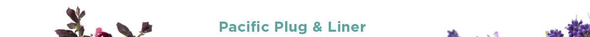 Pacific Plug & Liner