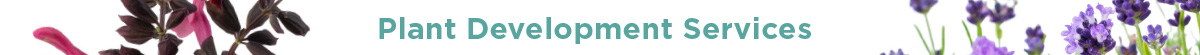 Plant Development Services