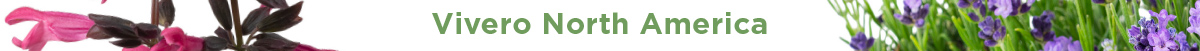 Vivero North America