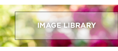 Image Library