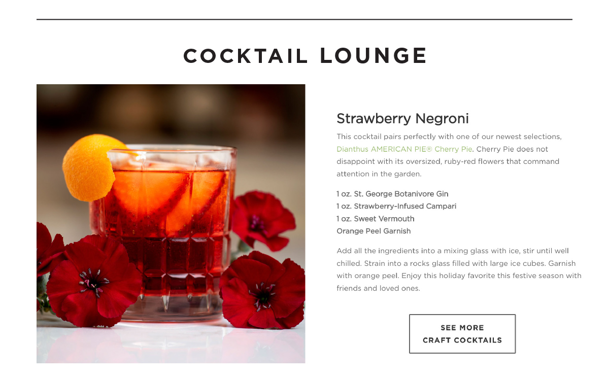 Strawberry Negroni
