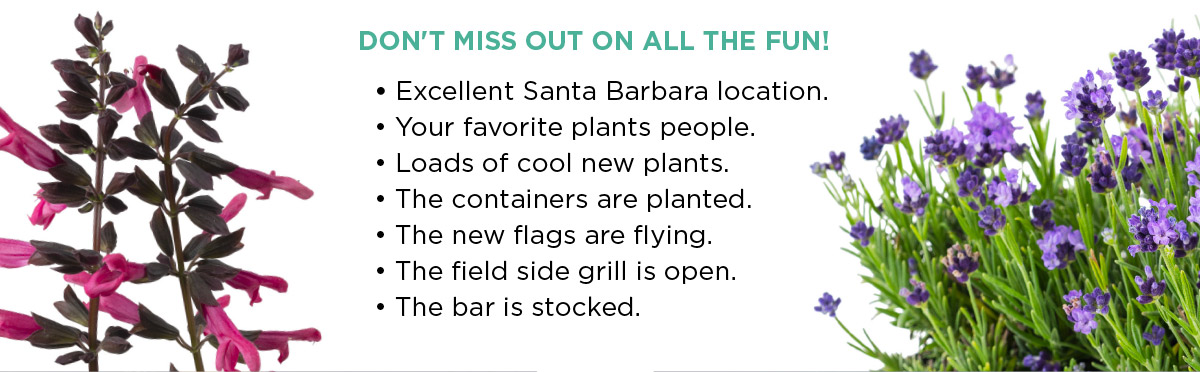 Don't miss out on all the fun