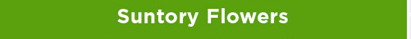 Suntory Flowers