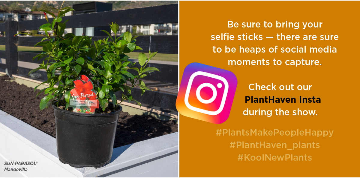 Follow us on Instagram