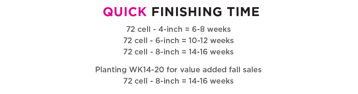 Quick Finishing Times