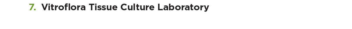 Vitroflora Tissue Culture Laboratory 